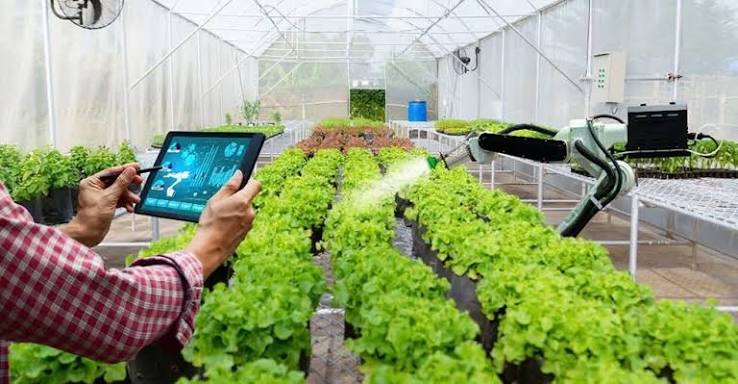 Ứng dụng công nghệ cao trong sản xuất nông nghiệp hiện đại
