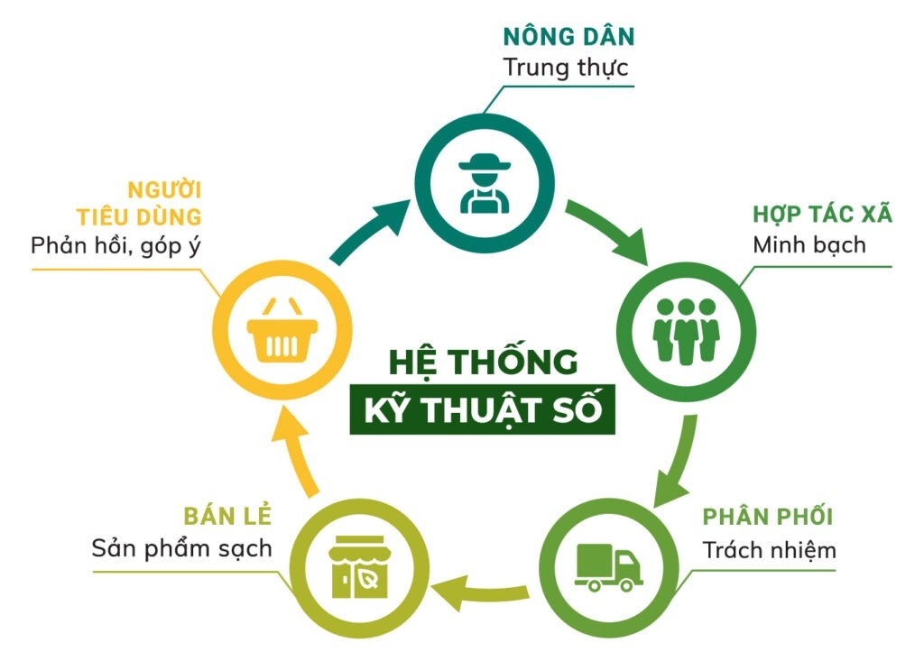 Quy trình sản xuất nông sản sạch theo tiêu chuẩn quốc tế